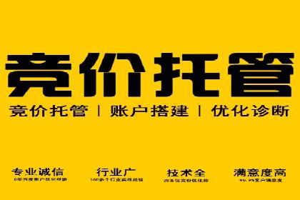 专业SEM代运营推广公司成功案例分享